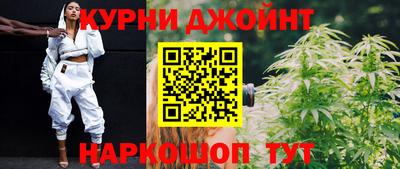 гашик Жуковский