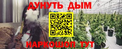 гашик Жуковский